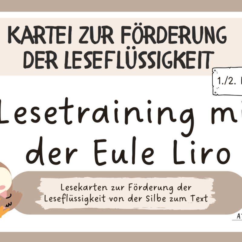 Kartei - Lesetraining mit der Eule Liro